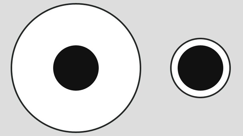 Delbeufs illusion - olika uppfattningar om serveringsstorlek på stora och små tallrikar